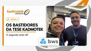 Capa de O segundo write-off, capítulo 6 da série Bastidores da Tese Kadmotek, sobre a BWS